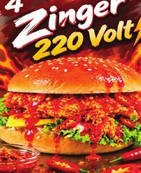 Zinger 220 Volt